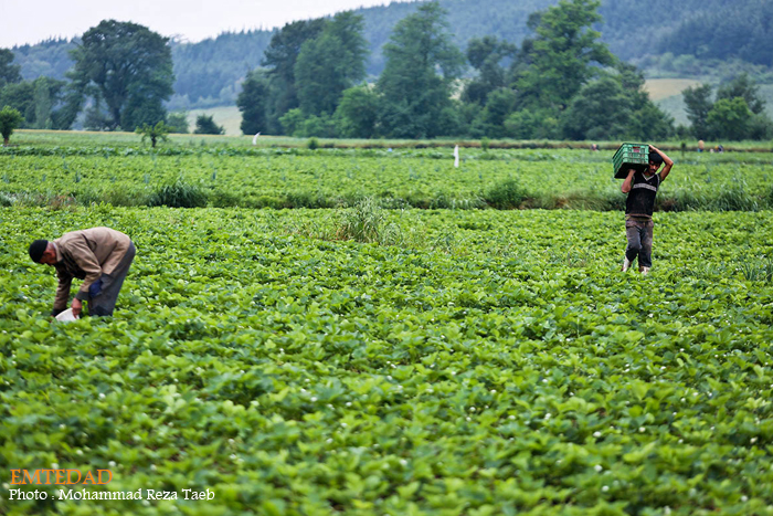 شهرستان شیر آباد 6 شهرستان شیر آباد