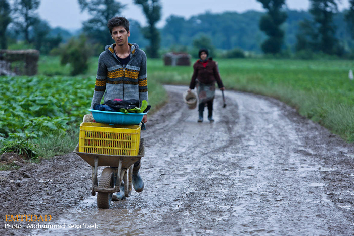 شهرستان شیر آباد 11 شهرستان شیر آباد