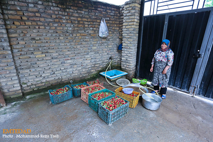 شهرستان شیر آباد 13 شهرستان شیر آباد