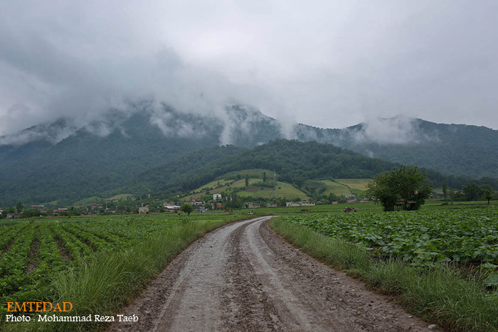 شهرستان شیر آباد 18 شهرستان شیر آباد