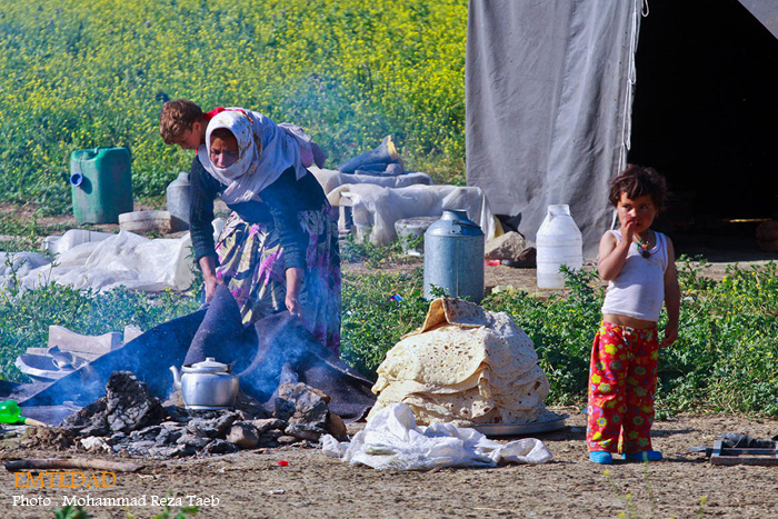 زندگی زنان عشایری 10 زندگی زنان عشایری