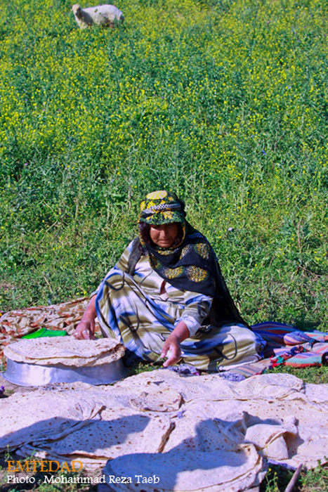 زندگی زنان عشایری 24 زندگی زنان عشایری