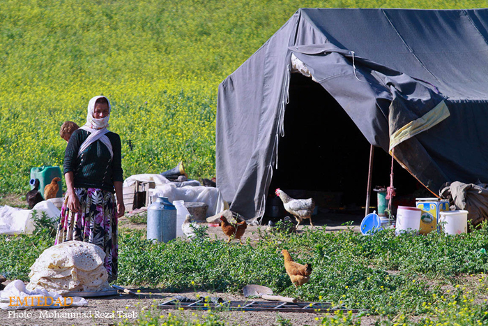 زندگی زنان عشایری 11 زندگی زنان عشایری