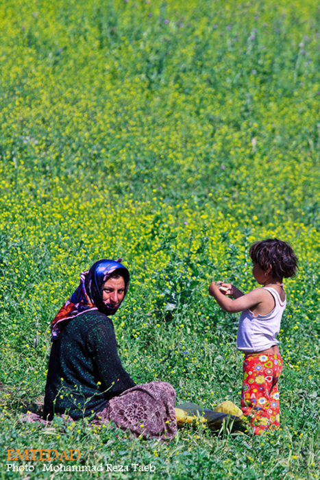 زندگی زنان عشایری 26 زندگی زنان عشایری