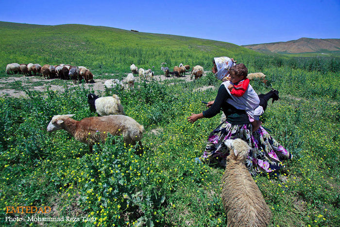 زندگی زنان عشایری 19 زندگی زنان عشایری