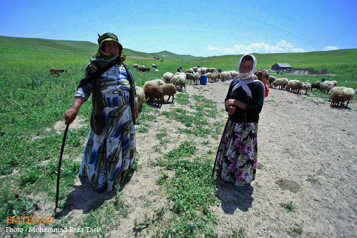 زندگی زنان عشایری 20 زندگی زنان عشایری