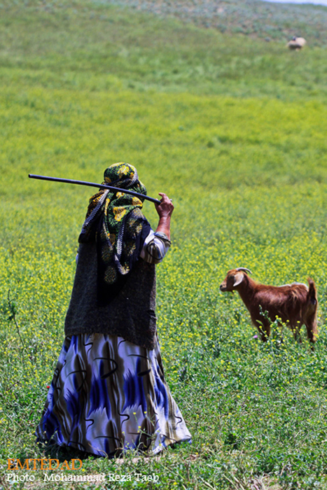 زندگی زنان عشایری 27 زندگی زنان عشایری