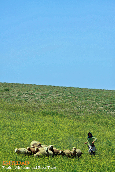 زندگی زنان عشایری 28 زندگی زنان عشایری