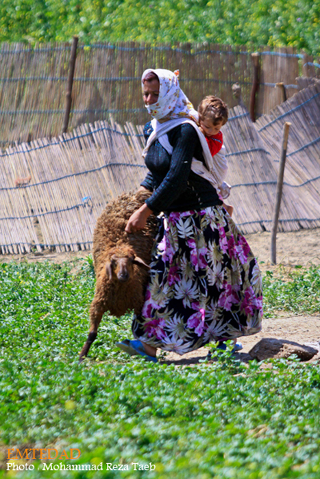 زندگی زنان عشایری 29 زندگی زنان عشایری