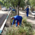 استمرار عملیات ظعمه گذاری جانوران موذی در ناحیه 3