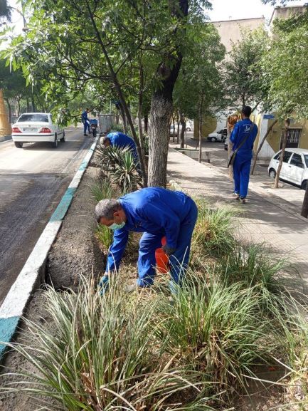 استمرار عملیات ظعمه گذاری جانوران موذی در ناحیه 3