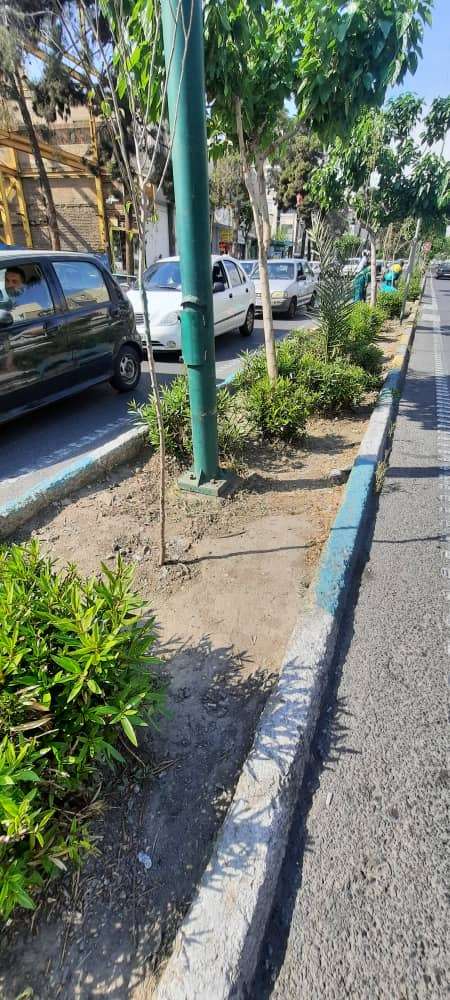  حذف پاجوش رفیوژمیانی در خیابان خوشوقت