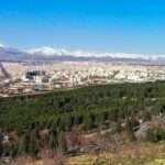 هم‌فکری برای نجات درختان سرخه‌حصار