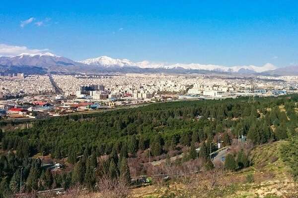 هم‌فکری برای نجات درختان سرخه‌حصار