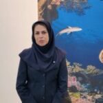 کوسه های جزیره کیش؛ زیبا و بی خطر