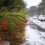 ثبت ۲۶۹.۵ میلی‌متر بارندگی در کیش؛ دو برابر میانگین بلندمدت ۳۲ ساله جزیره