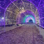 نورپردازی پهنه رودکی با رویکرد ارتقای نشاط شهری