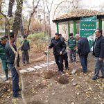 کاشت ۱۴۵۰ اصله نهال در منطقه یک؛ گامی عملی در مسیر طرح ملی یک میلیارد درخت