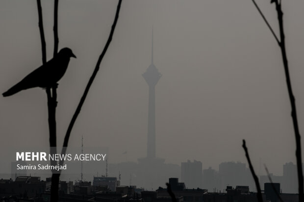 آلودگی هوا به تهران بازگشت؛ افزایش شاخص ذرات معلق