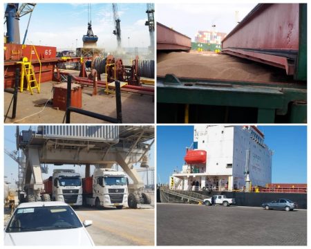 اقدامات منطقه آزاد چابهار برای تقویت امنیت غذایی